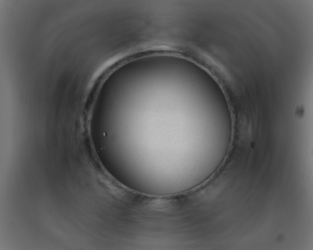 X0000092281166200709281239