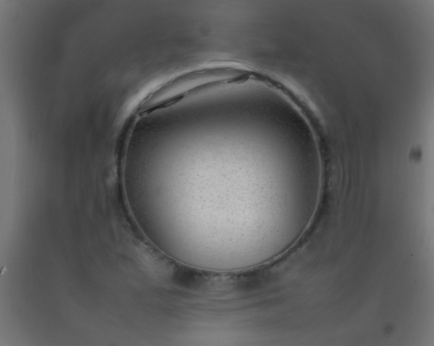 X0000092281167200709281239