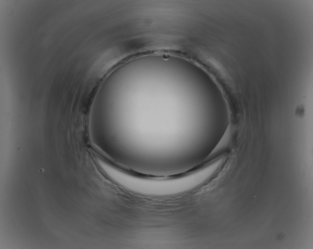 X0000092281169200709281239