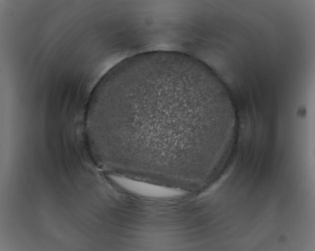 X0000092281170200709281239