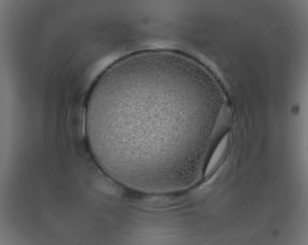 X0000092281171200709281239