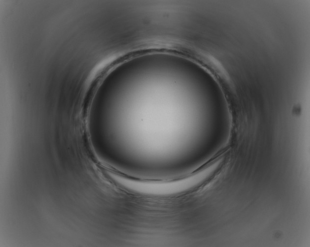 X0000092281172200709281239