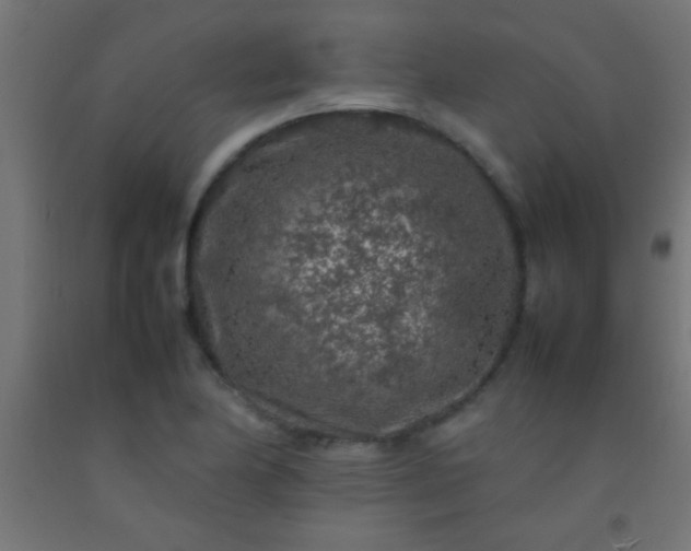 X0000092281174200709281239