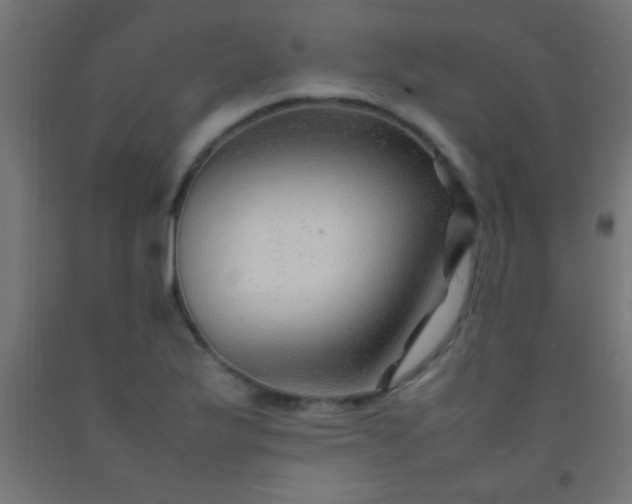 X0000092281175200709281239