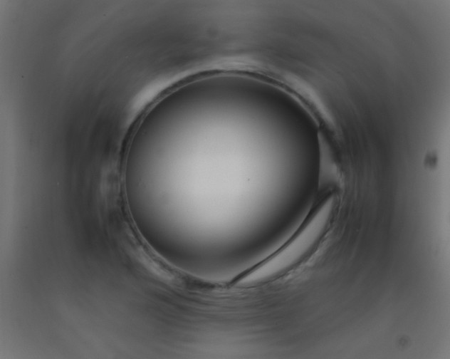 X0000092281176200709281239