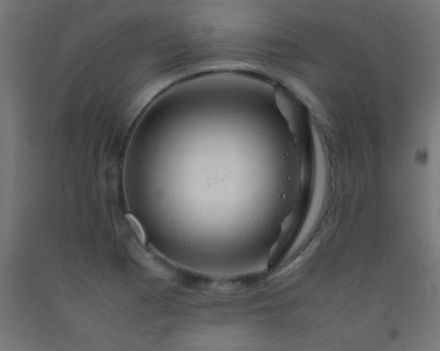 X0000092281177200709281239