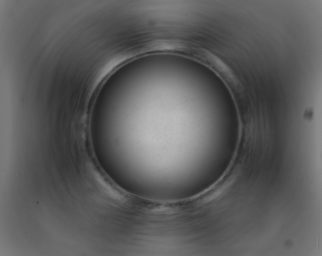 X0000092281178200709281239