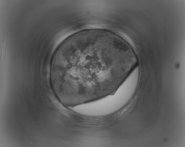 X0000092281179200709281239