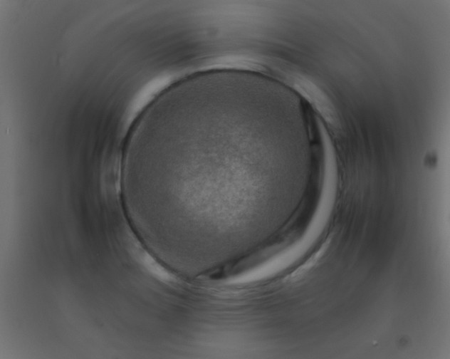 X0000092281180200709281239