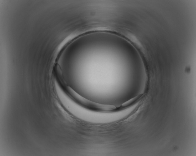 X0000092281181200709281239