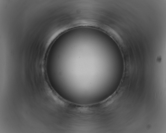 X0000092281182200709281239