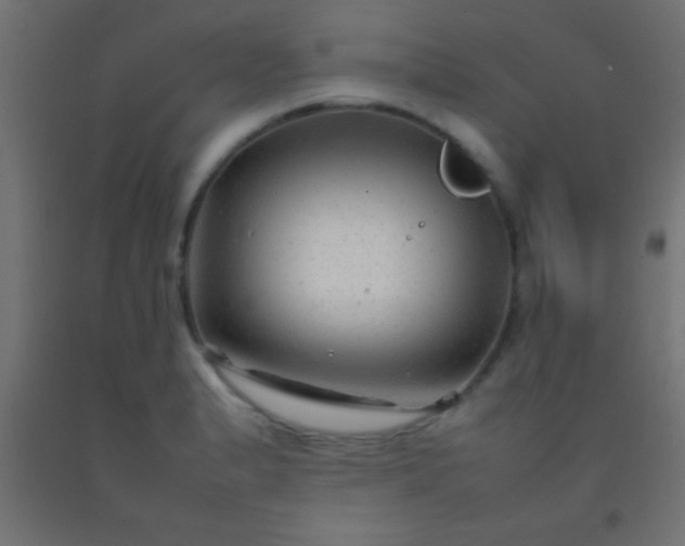 X0000092281183200709281239