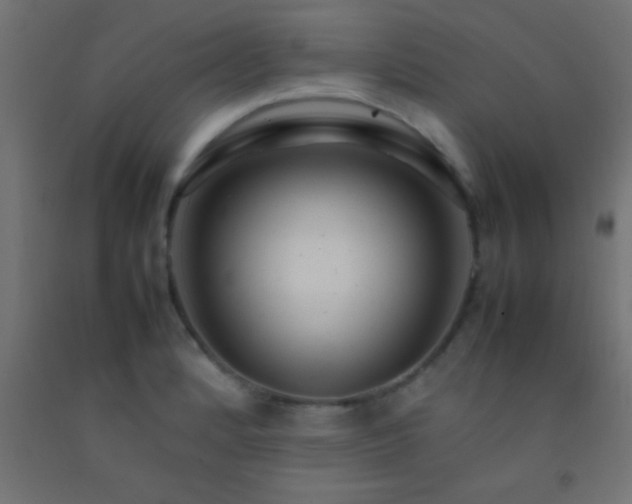 X0000092281184200709281239