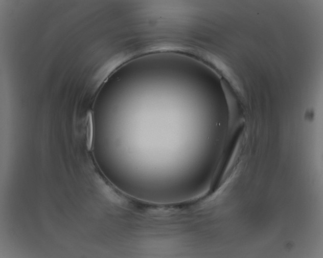 X0000092281185200709281239