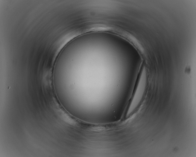 X0000092281186200709281239