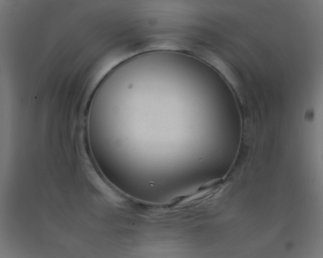 X0000092281187200709281239