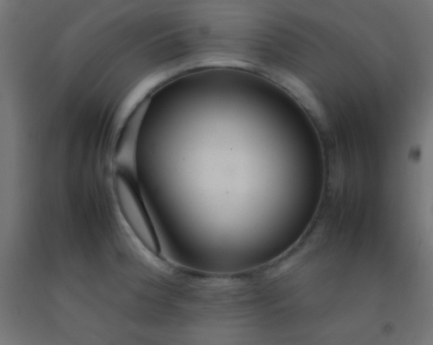 X0000092281188200709281239