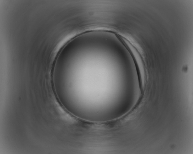 X0000092281189200709281239