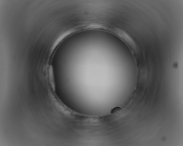 X0000092281190200709281239