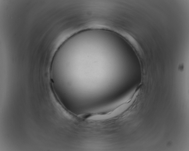 X0000092281191200709281239