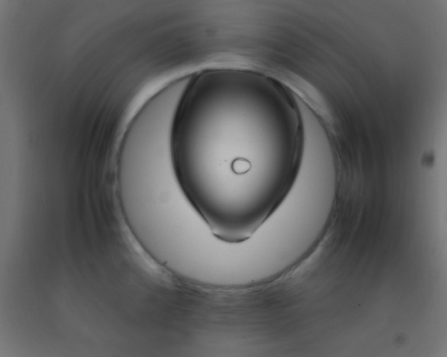 X0000092281192200709281239