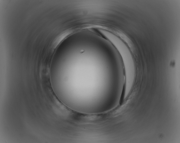 X0000092281193200709281239