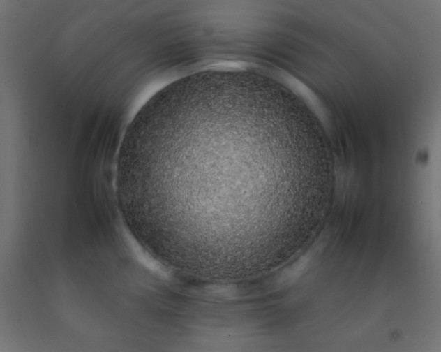 X0000092281194200709281239