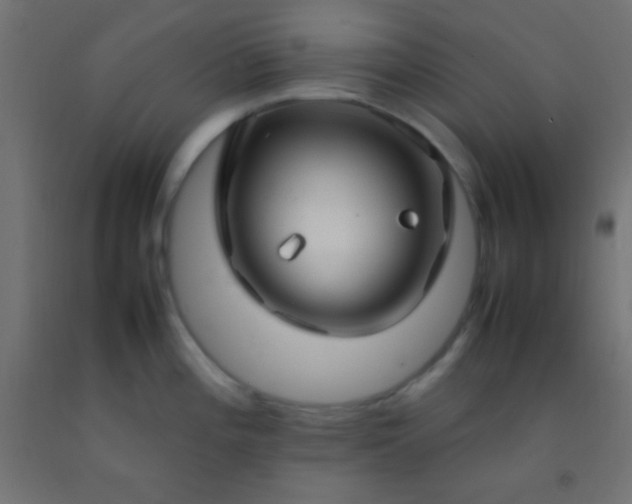 X0000092281196200709281239