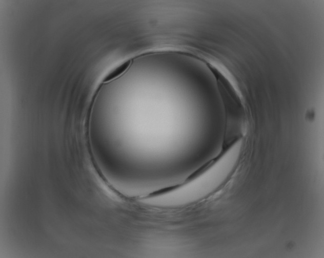 X0000092281197200709281239