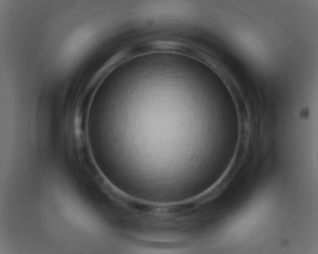 X0000092281198200709281239