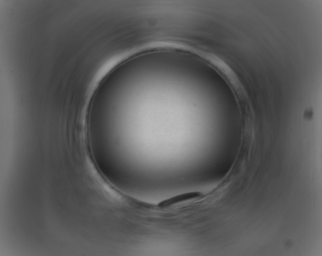 X0000092281199200709281239