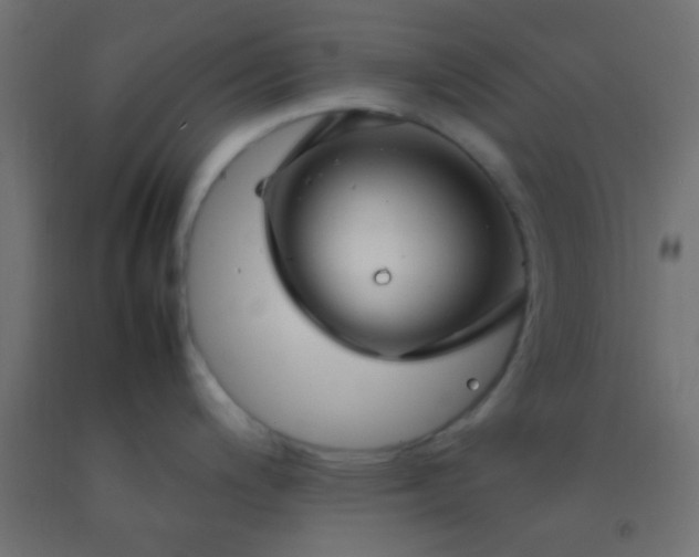 X0000092281200200709281239