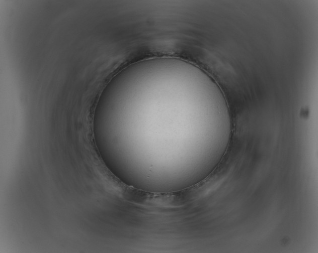 X0000092281201200709281238