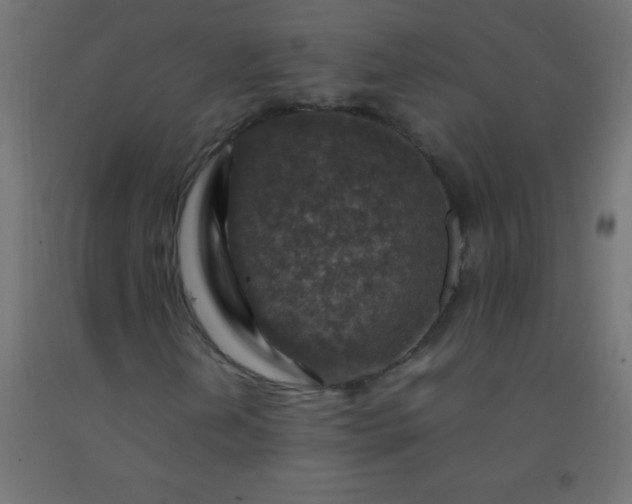 X0000092281202200709281238