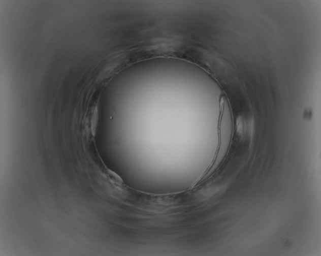 X0000092281203200709281238