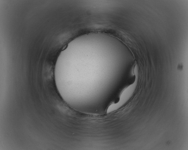 X0000092281204200709281238