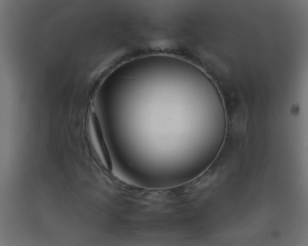 X0000092281205200709281238