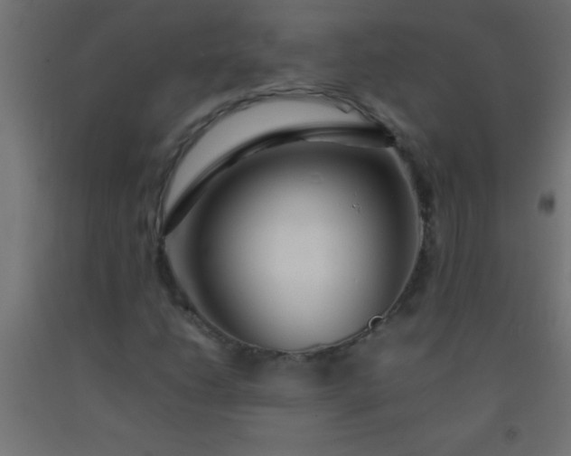 X0000092281206200709281238