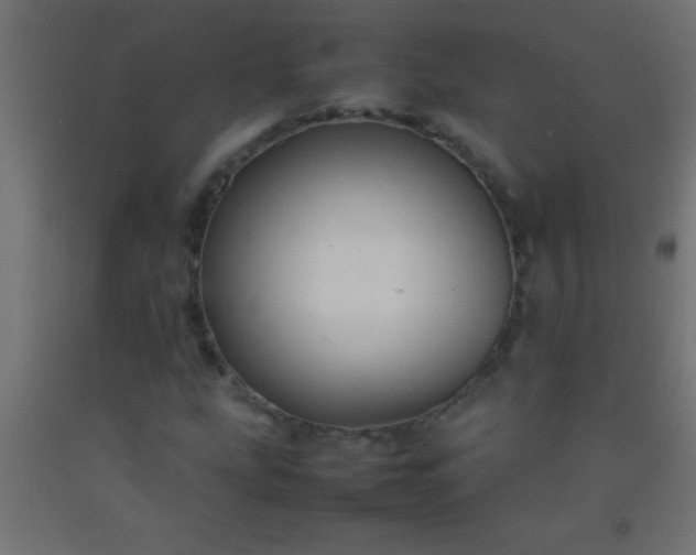 X0000092281207200709281238