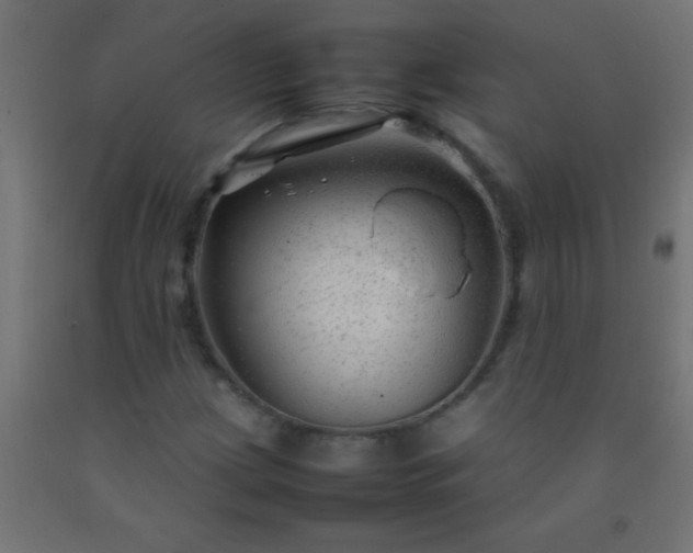 X0000092281209200709281238