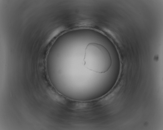 X0000092281211200709281238