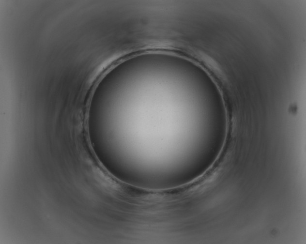 X0000092281212200709281238