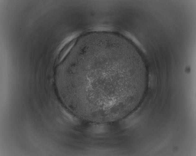 X0000092281213200709281238