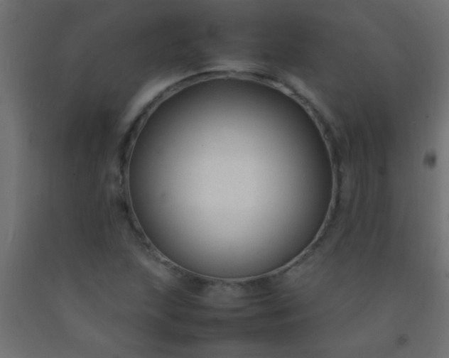 X0000092281215200709281238