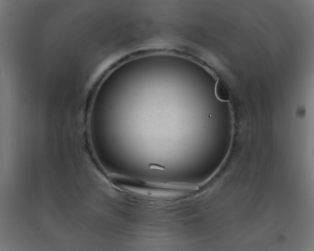 X0000092281216200709281238