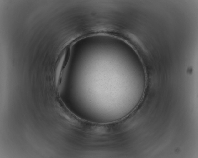 X0000092281217200709281238