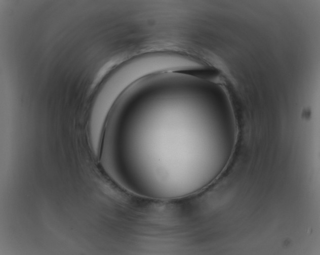 X0000092281218200709281238