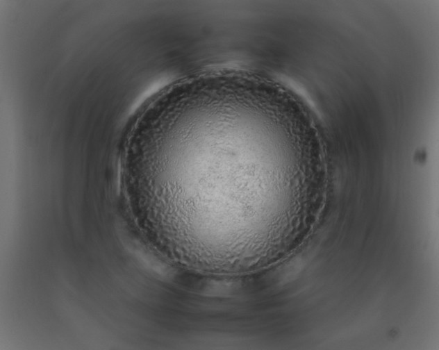 X0000092281219200709281238