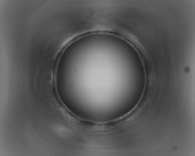 X0000092281220200709281238