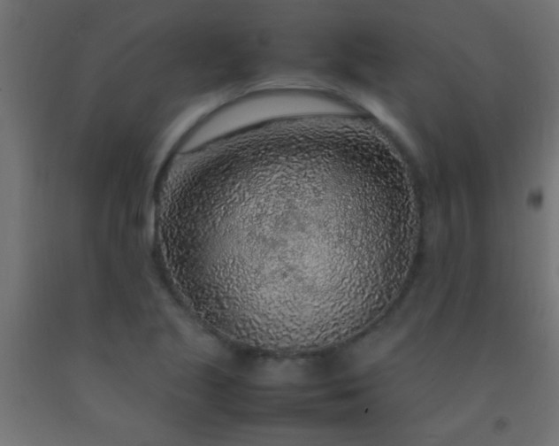 X0000092281221200709281238